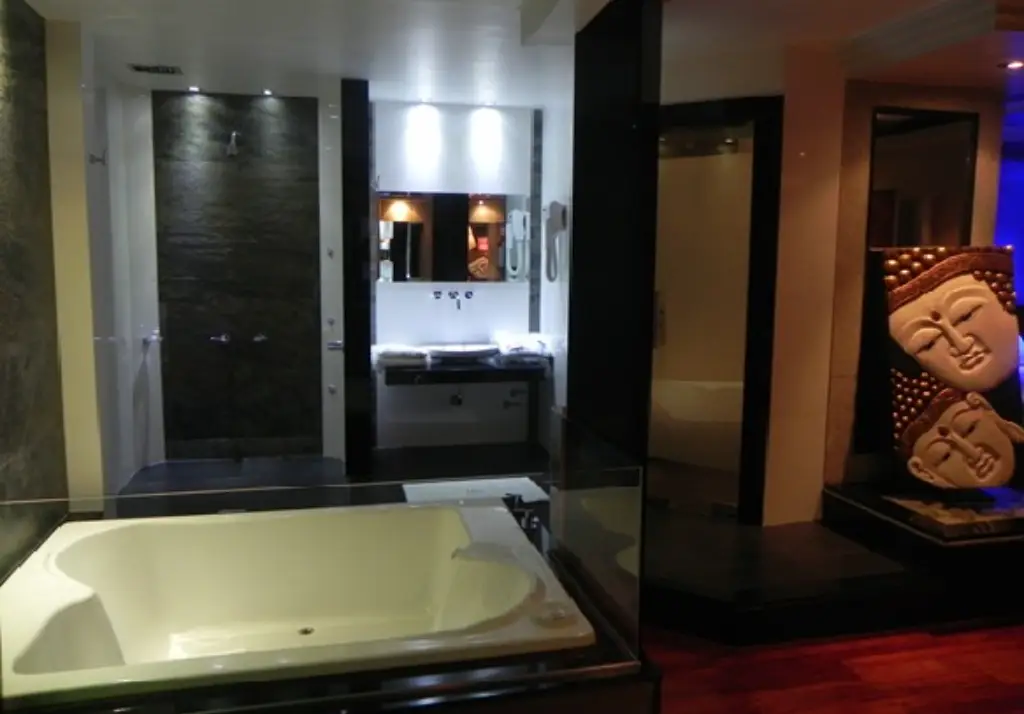 Baño moderno con detalles de lujo en telo Plus de Constitución