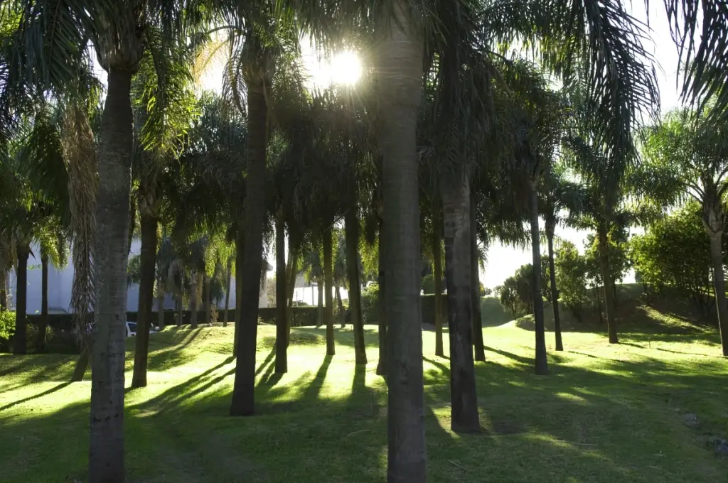 Jardín con privacidad total en telo Torre de los Lagos Lomas de Zamora